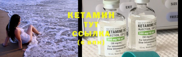 стаф Волосово