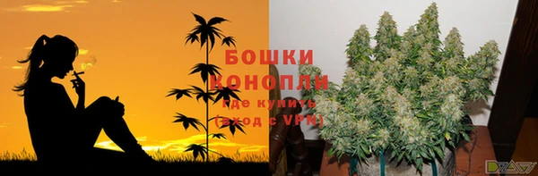 стаф Волосово