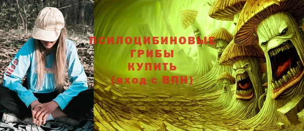 стаф Волосово