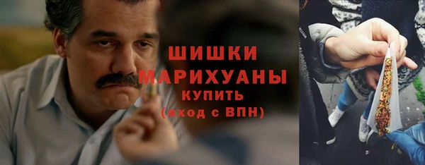 стаф Волосово