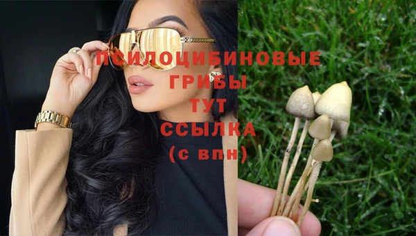 трава Волоколамск