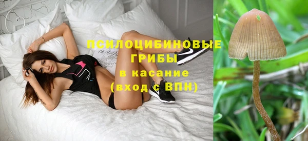 стаф Волосово